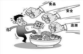 食品追溯 從技術(shù)到信任的橋梁